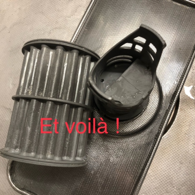 IMG 3644