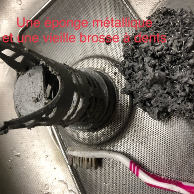 IMG 3641
