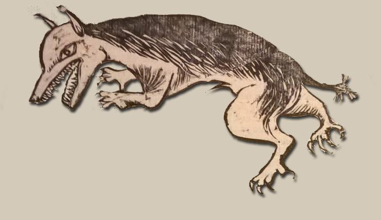 Loup