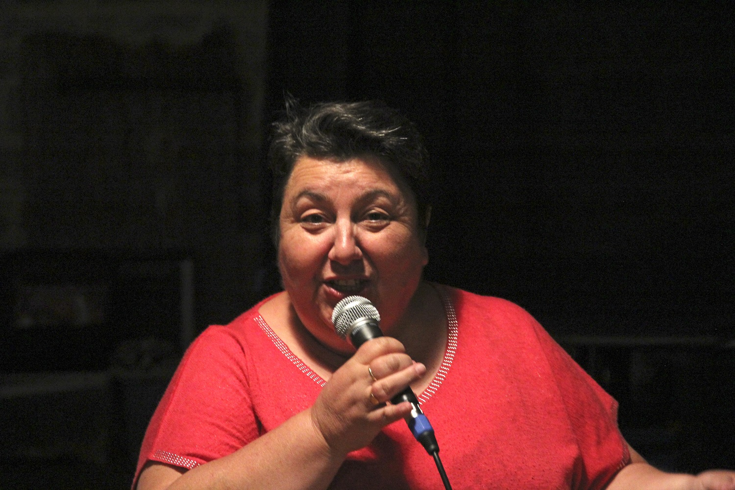 Sing swing viviane
