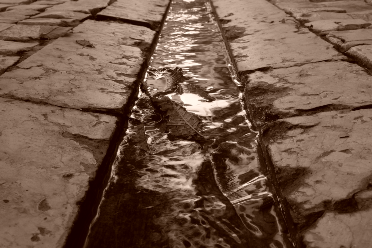 Capture d ecran 2023 12 09 185523