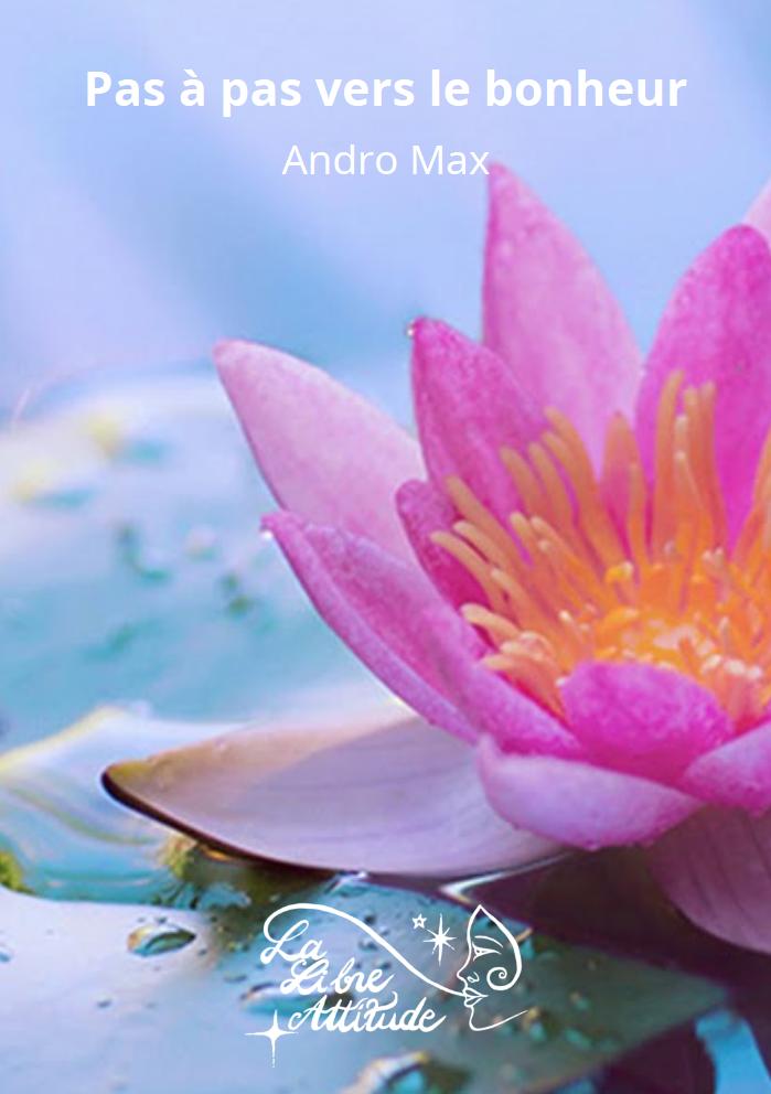 Pas-a-pas-vers-le-bonheur-OK-Numerique