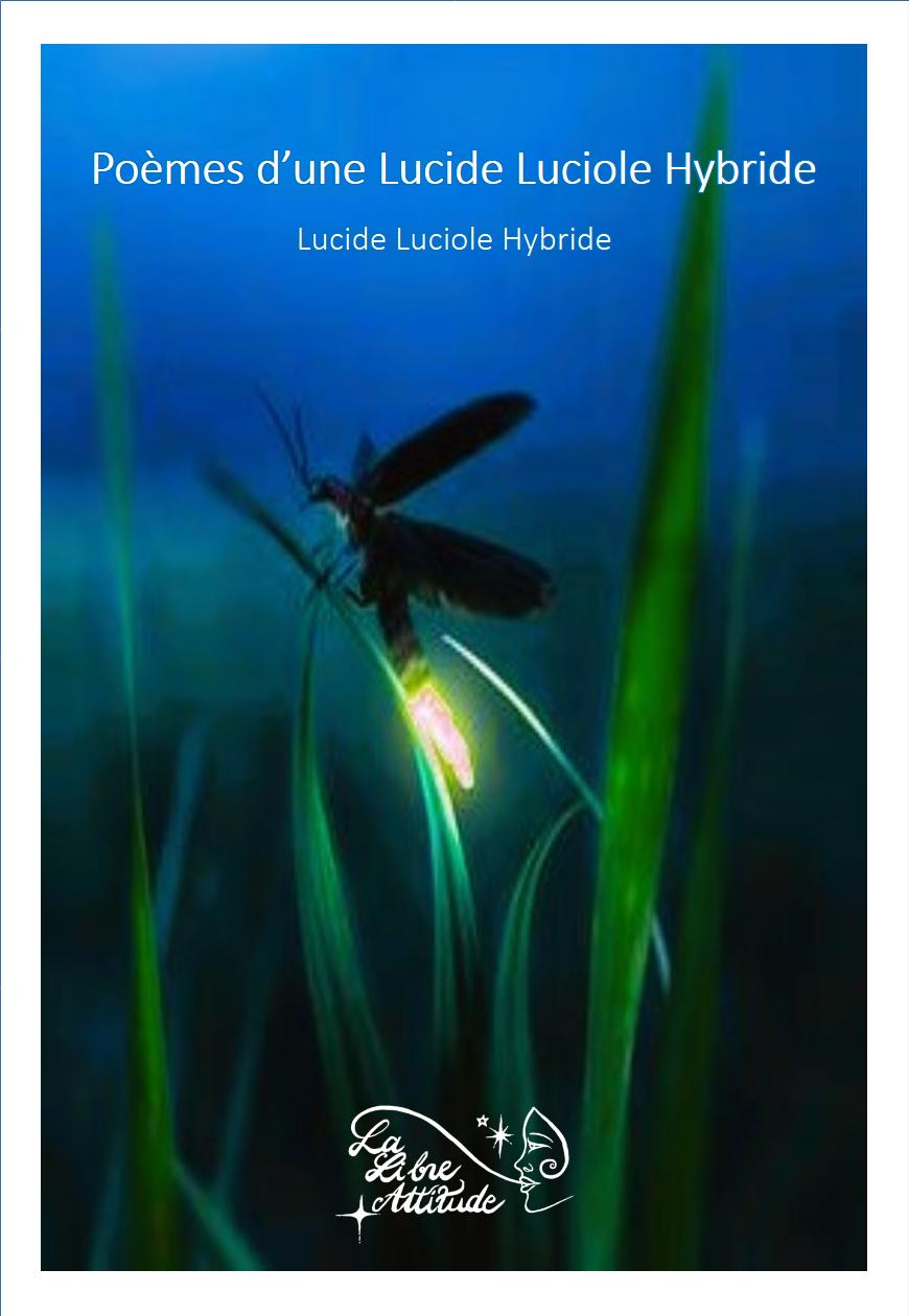 P-d-Lucide-Luciole-Hybride-OK-Numerique-2
