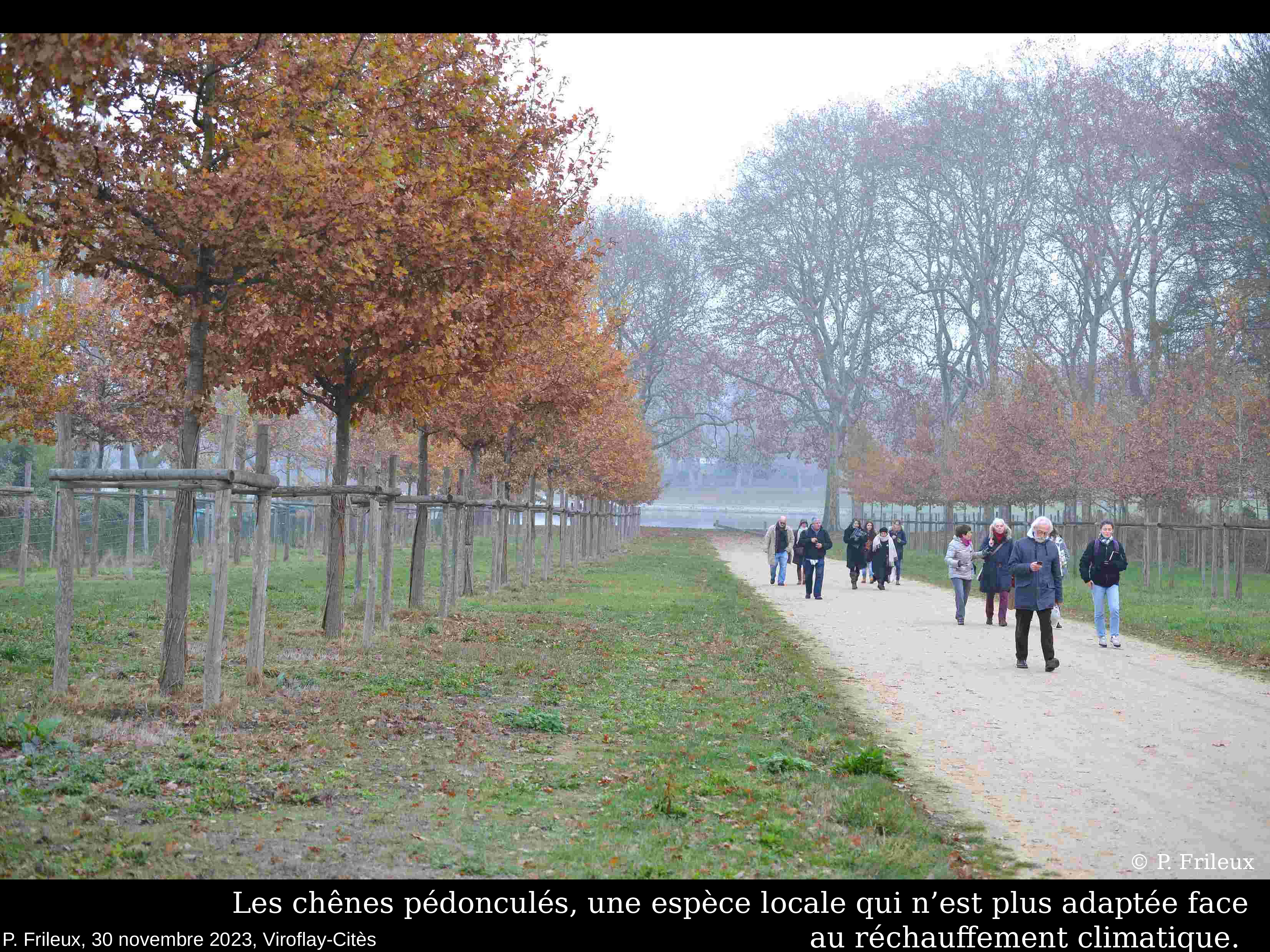 Conference arbres viroflay frileux2023 3011 red 9