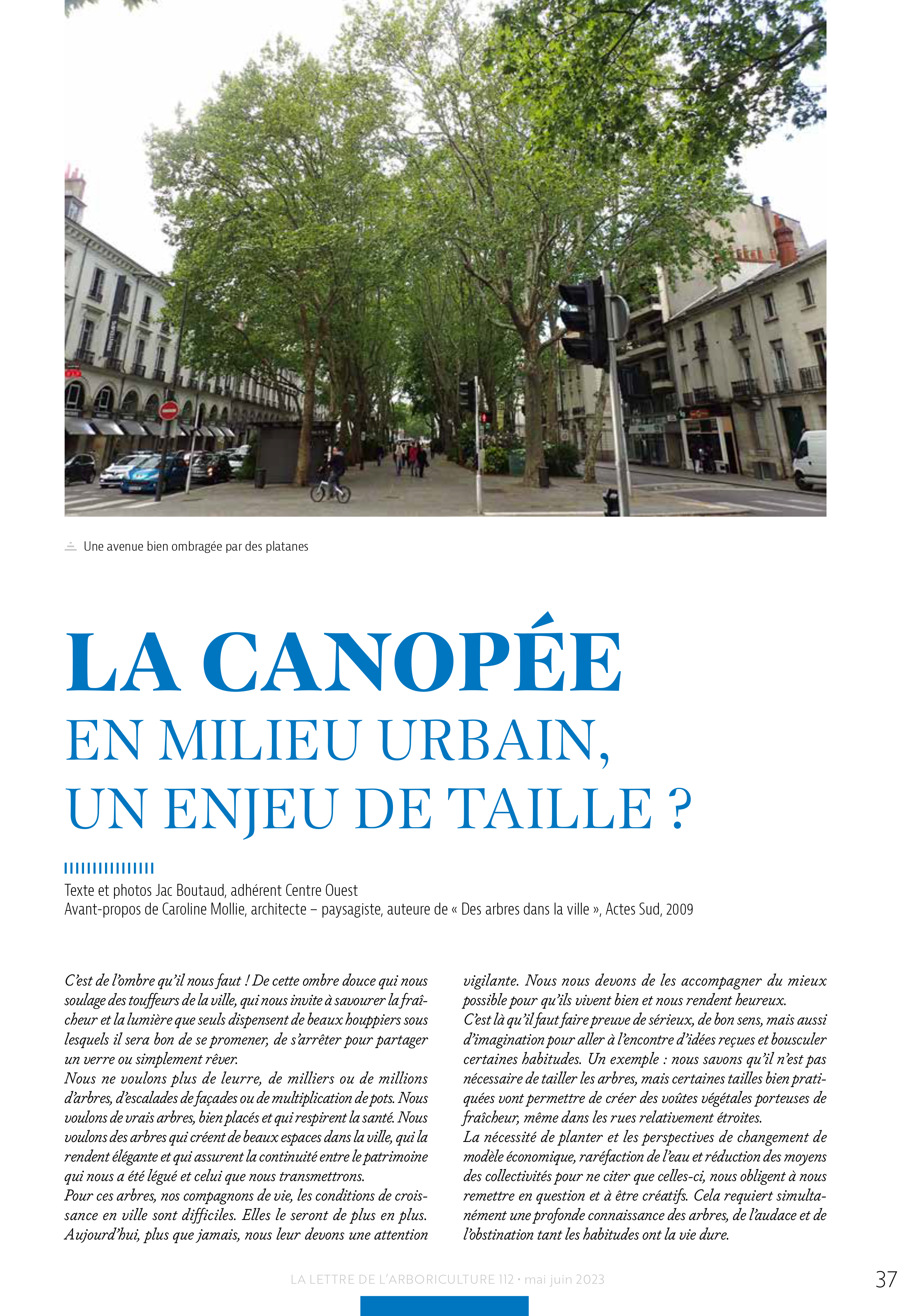 Boutaud canopee ville lettre mai juin 2023 2