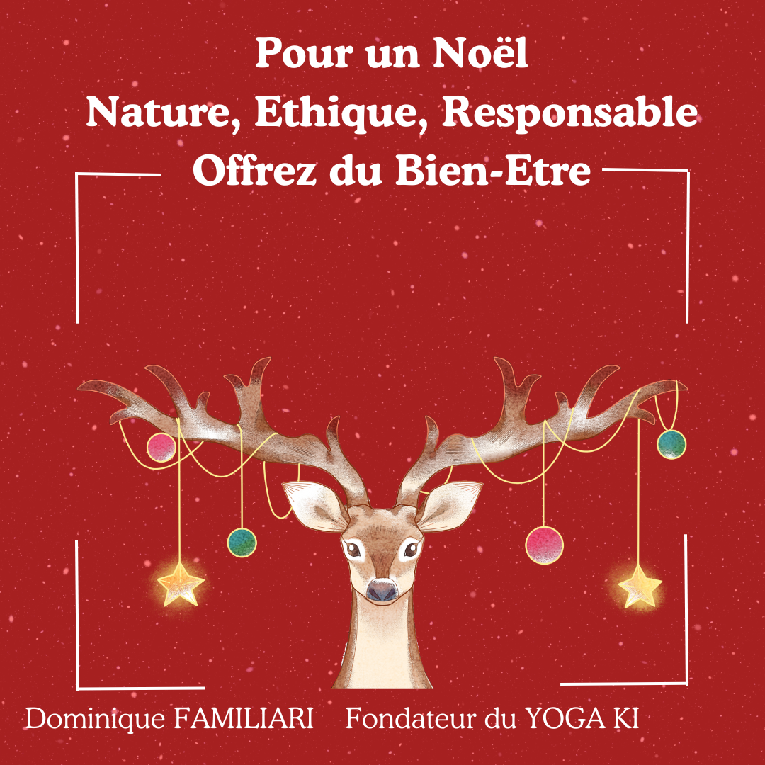 Un NOEL Nature