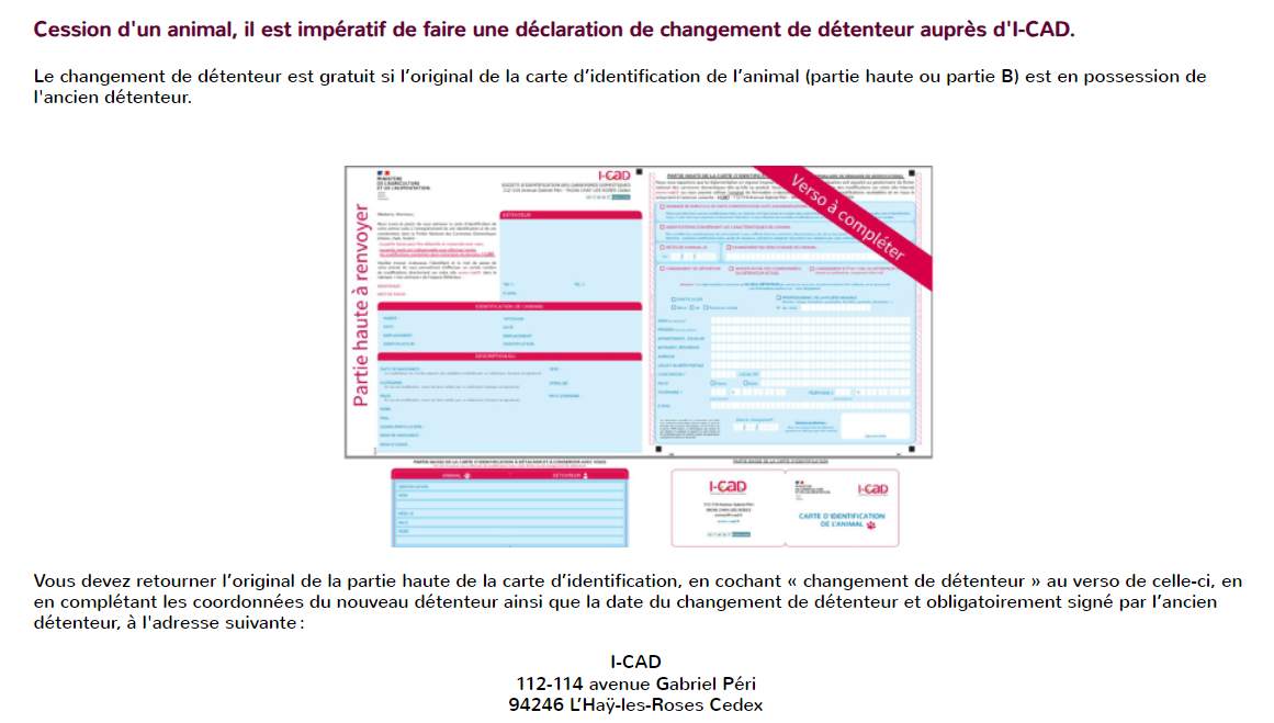 Nos-bergers-belges-vers-un-nouveau-depart-ICAD
