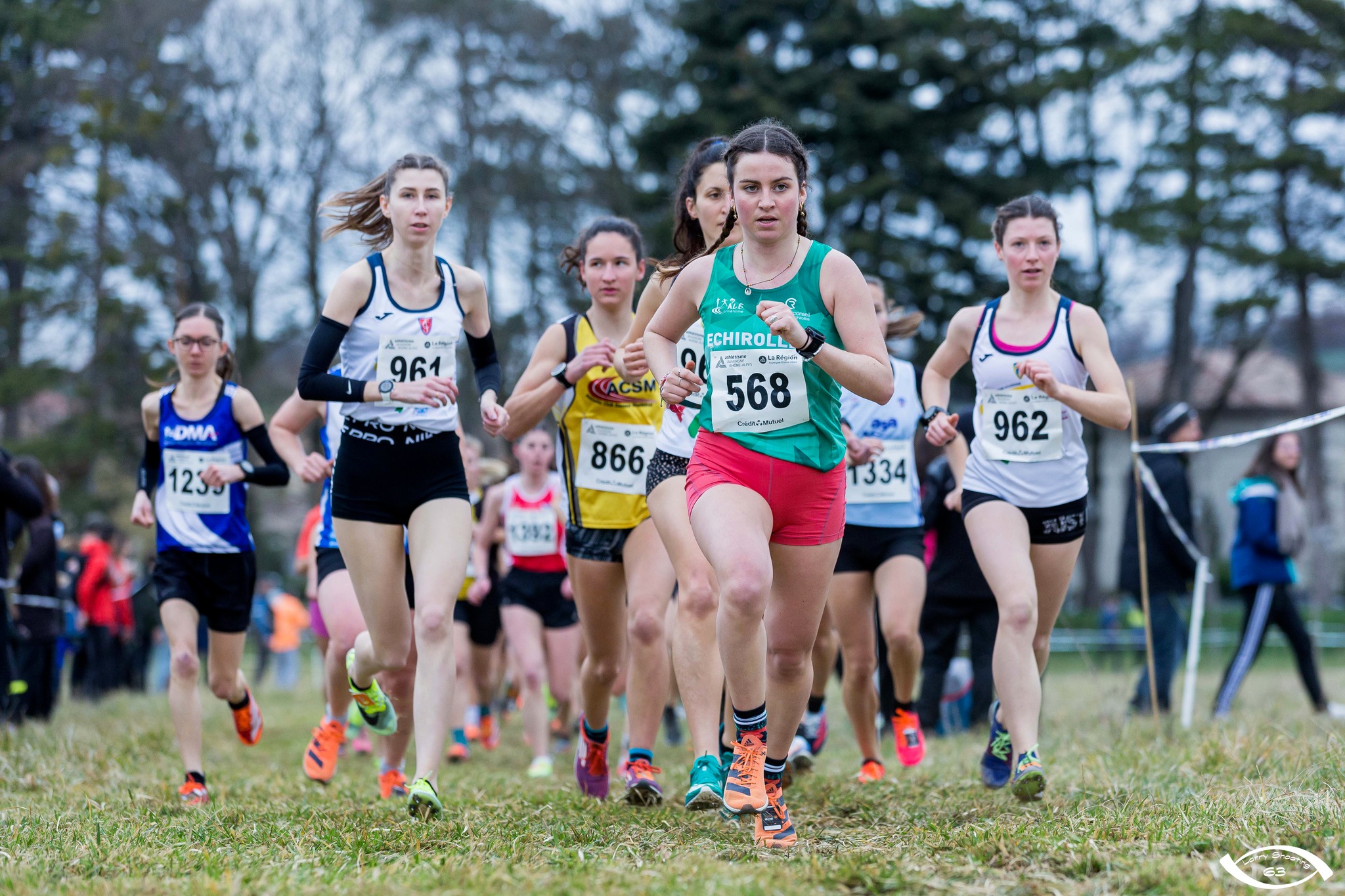 332135407 931539994506532 4179603170583435999 n