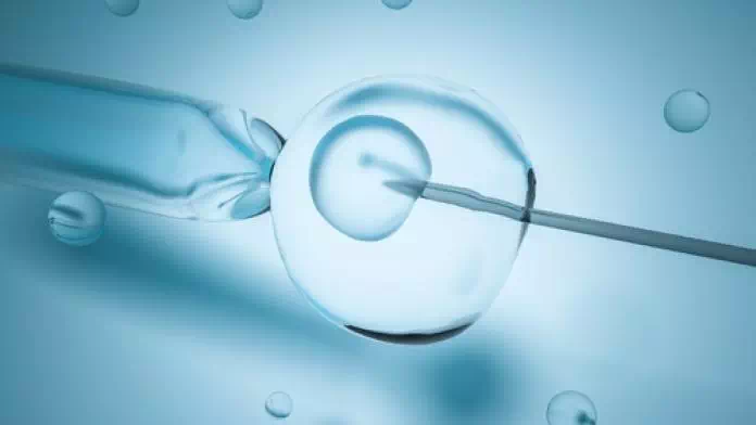 Le praticien Cécile Chabot Lyon Acupuncture propose des séances d'acupuncture pour la fertilité, fécondation in vitro, FIV.