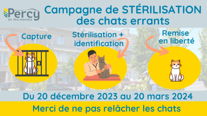 Campagne capture des chats errants