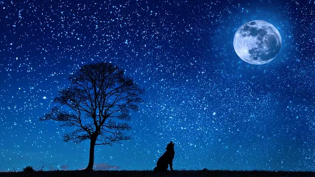 La praticen Cécile Chabot, séances d'acupuncture à lyon pour l'insomnie,  les troubles du sommeil, et les réveils nocturnes.