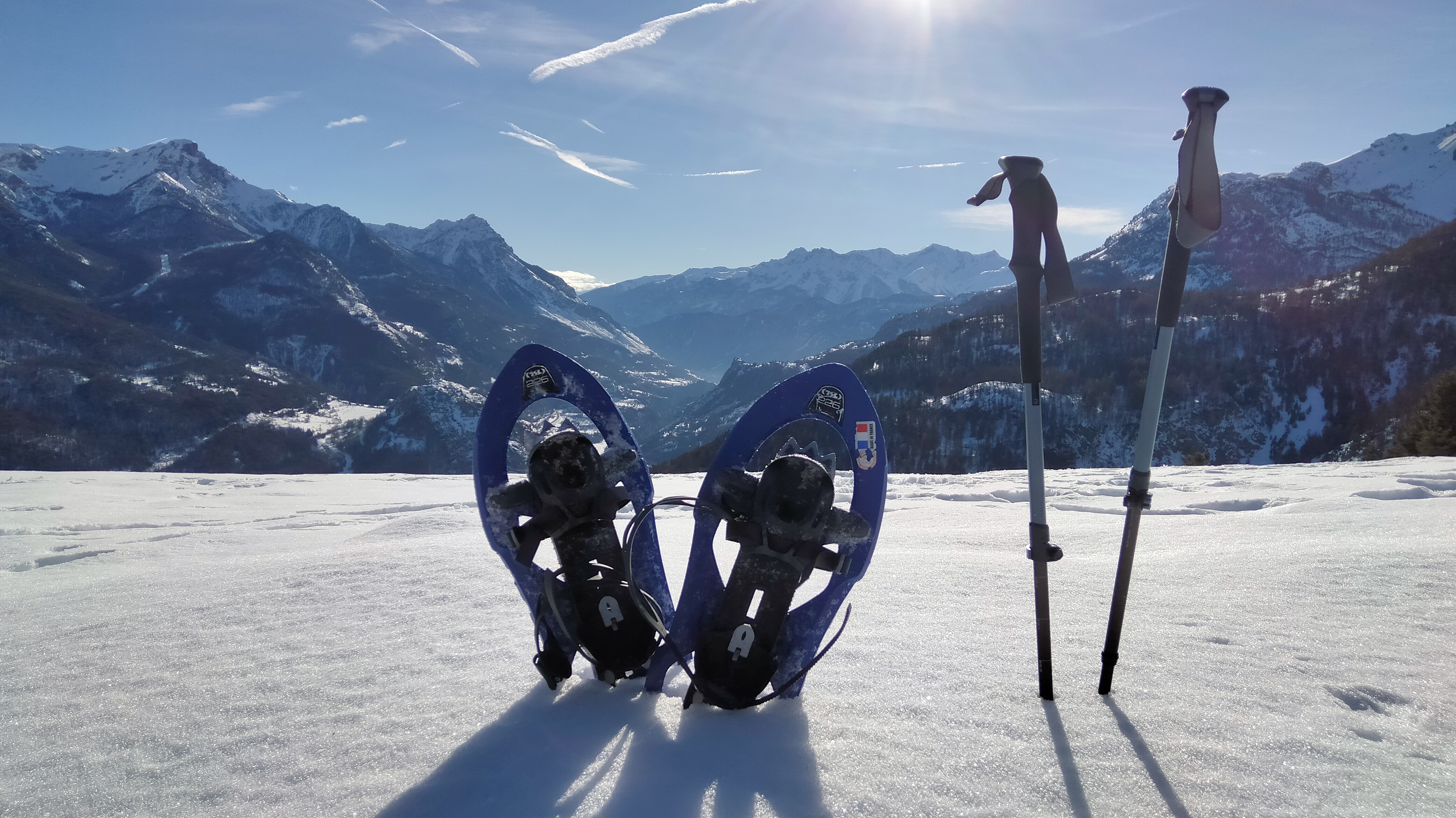 Linaire des Alpes