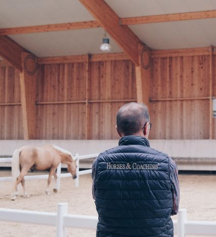Horses-and-coachingrecadre
