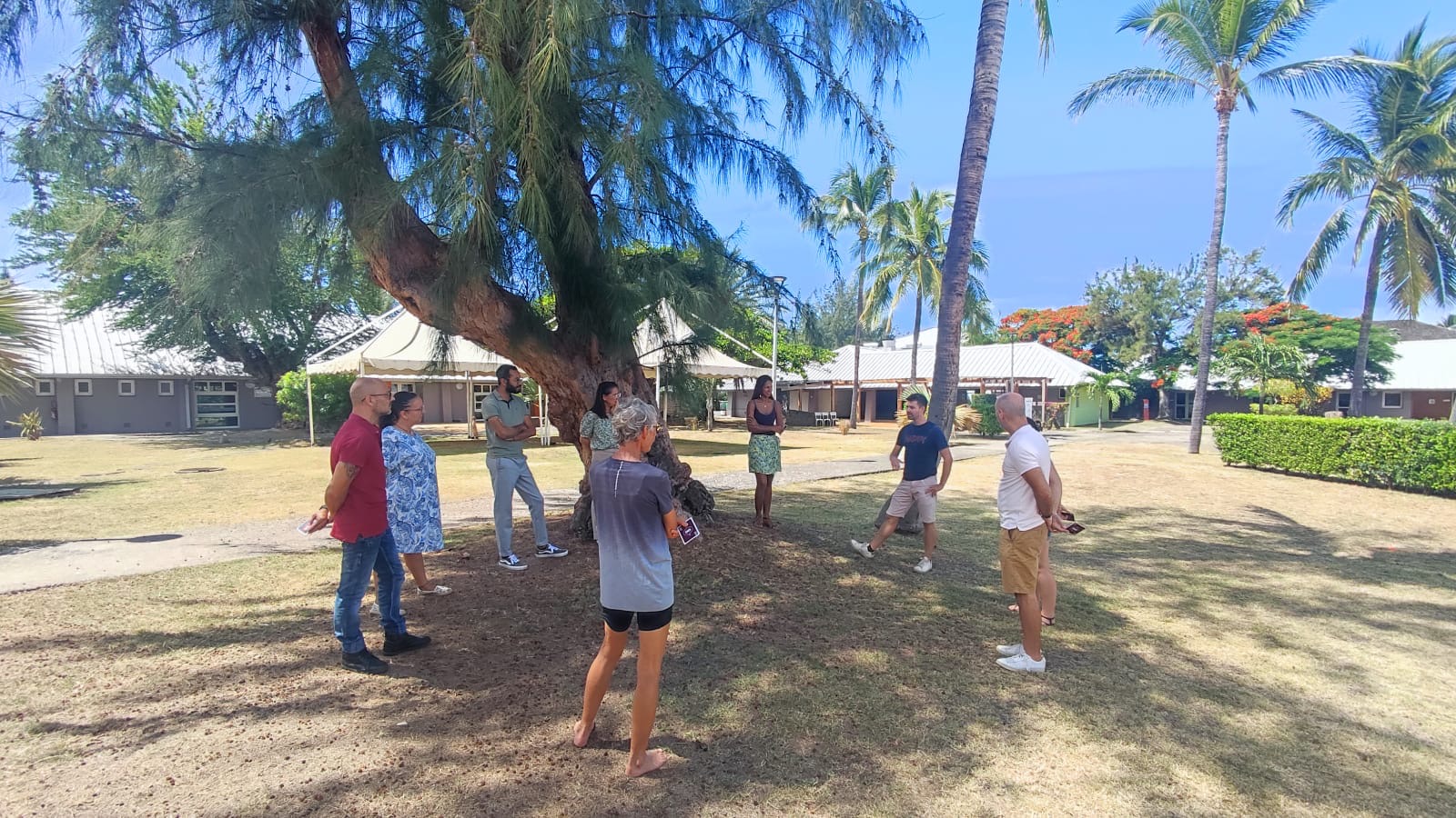 B31ae101 56ce 4440 8836 e9b0b3160df0