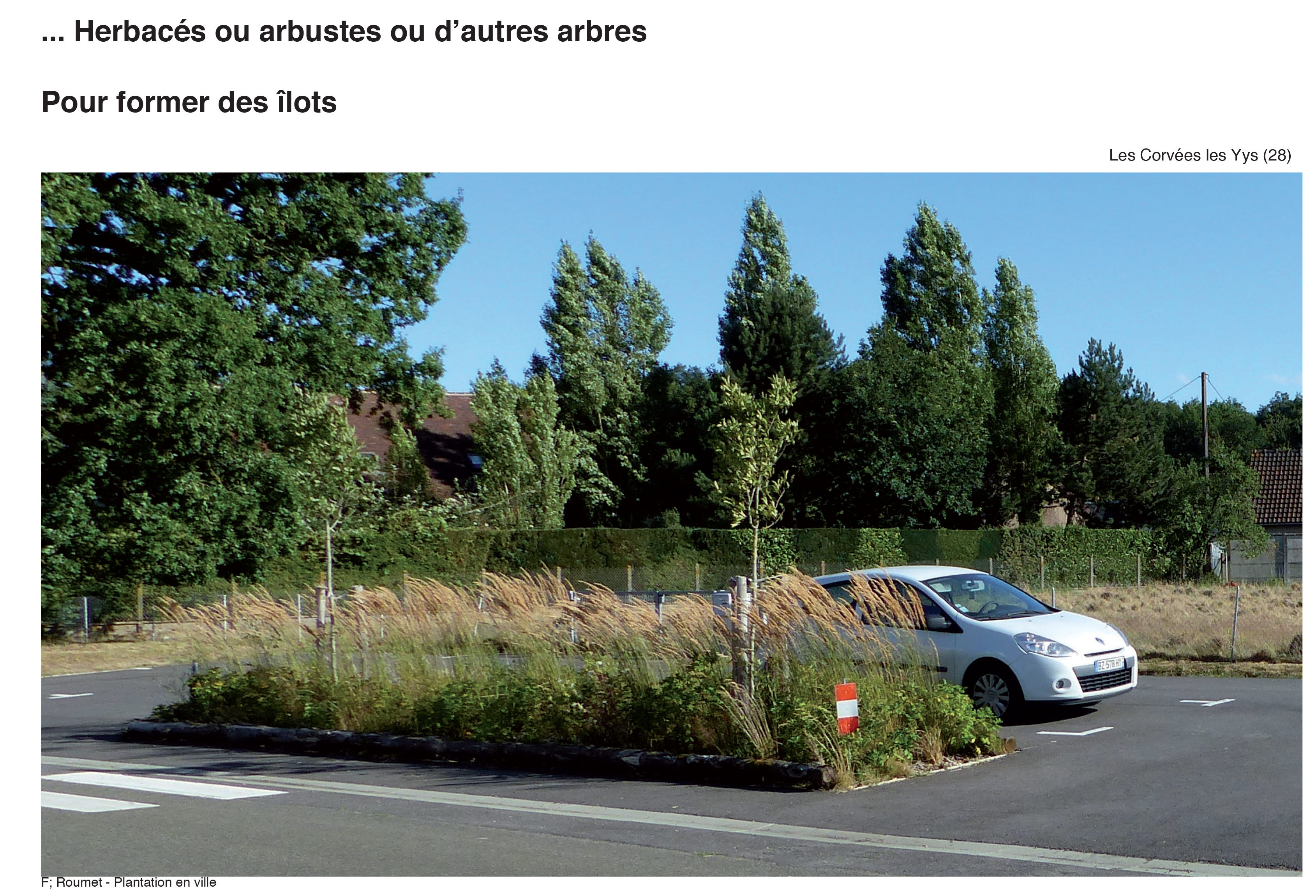 Projection planter en ville 29