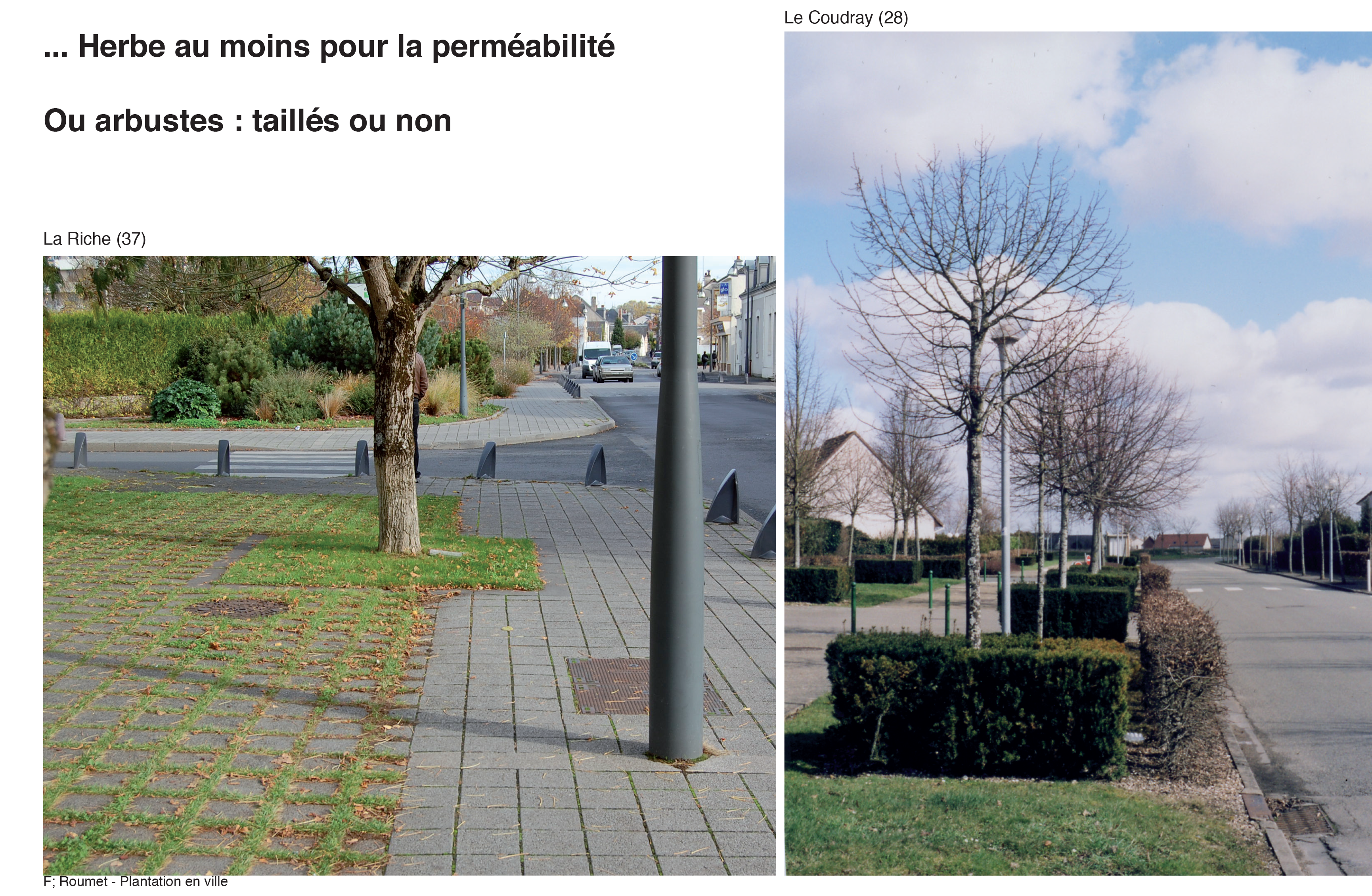 Projection planter en ville 28