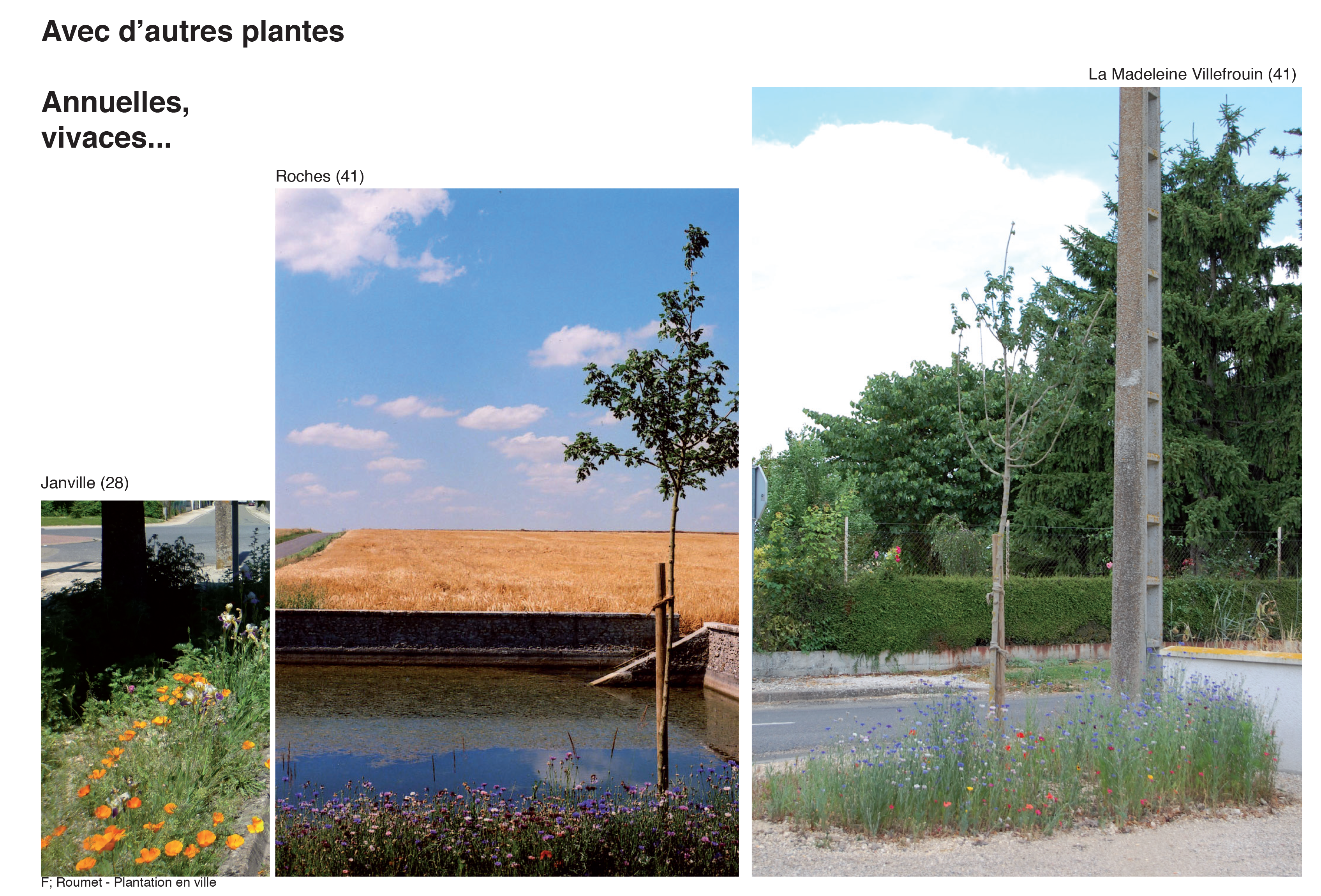 Projection planter en ville 27