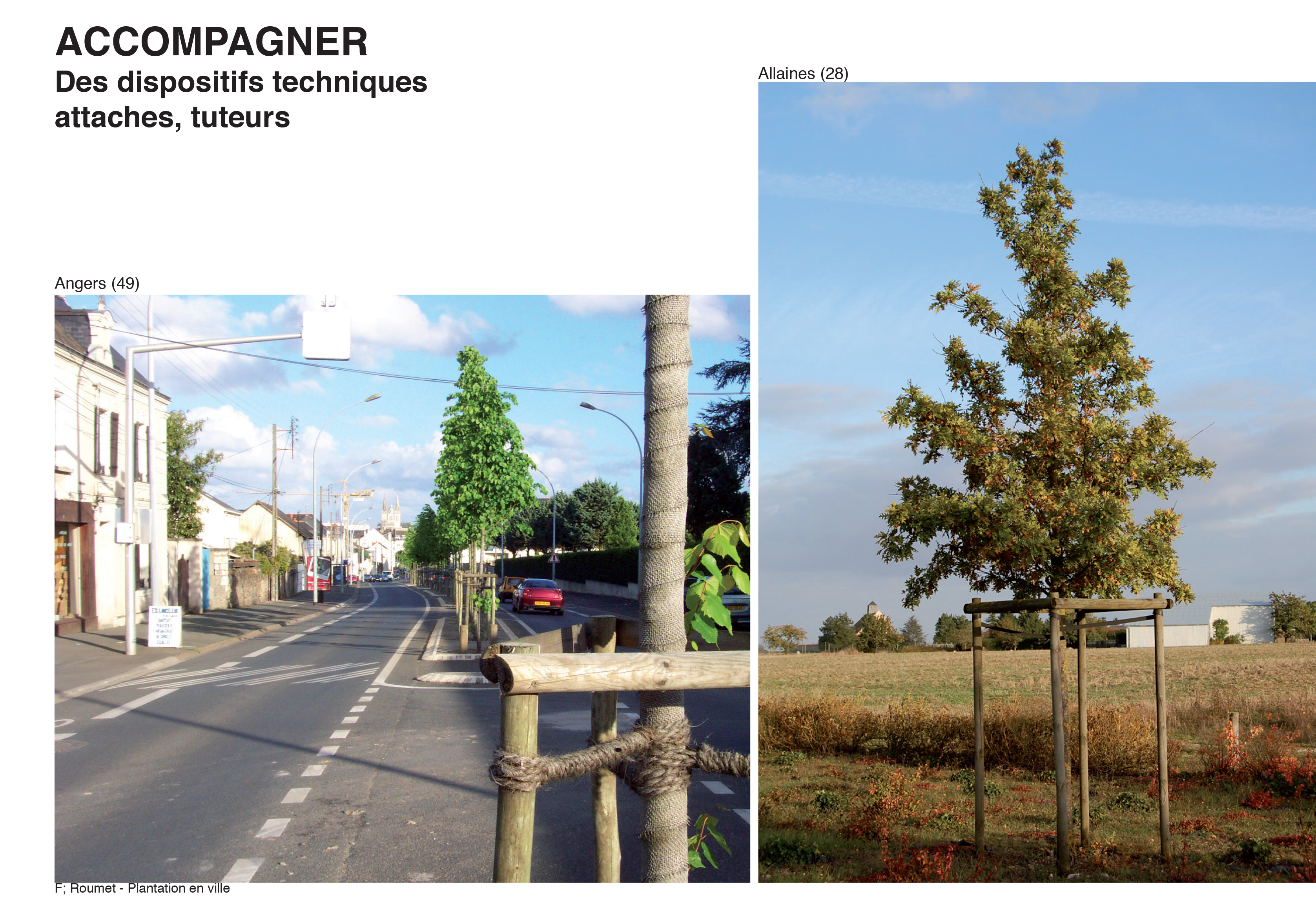 Projection planter en ville 26