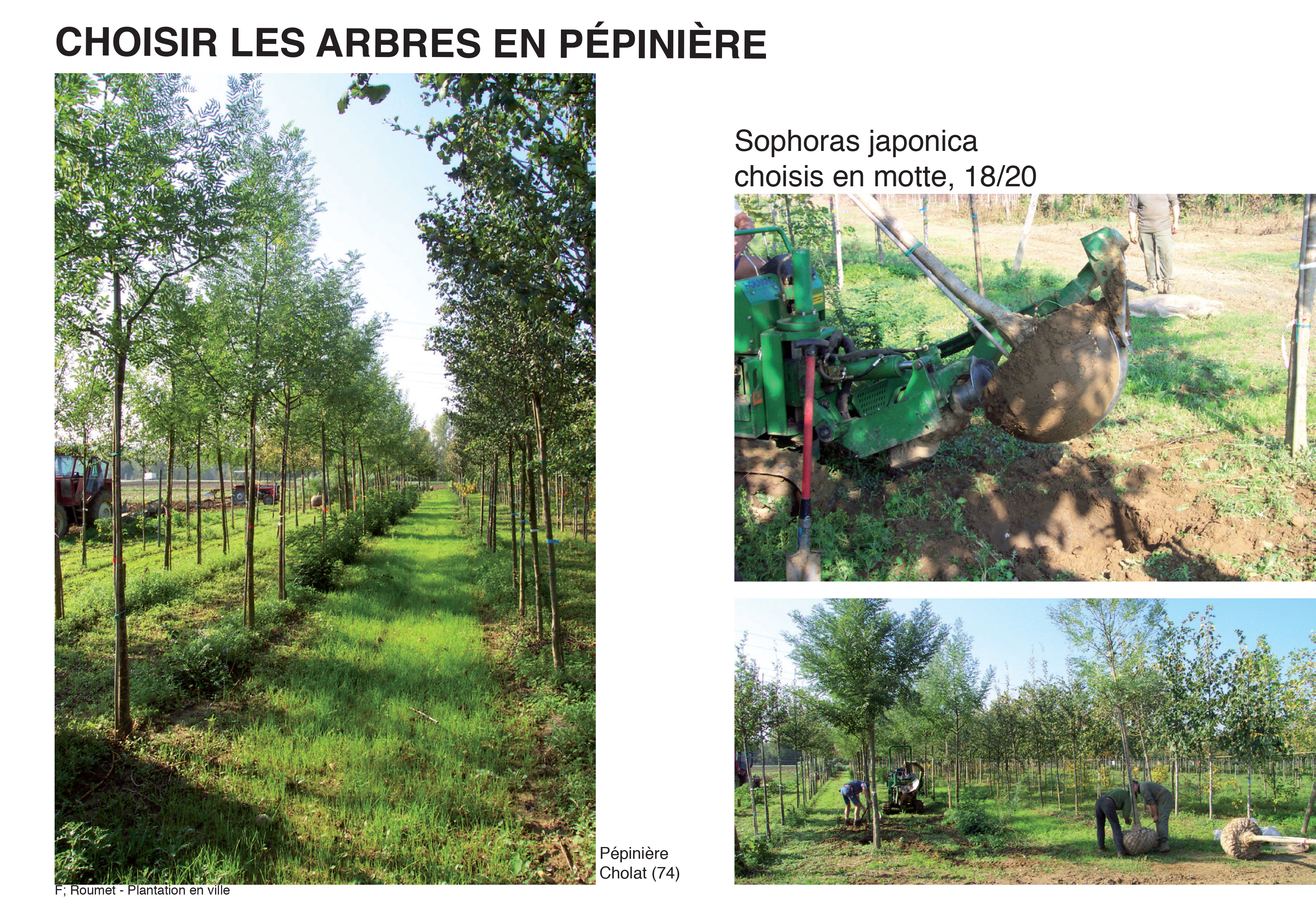 Projection planter en ville 24