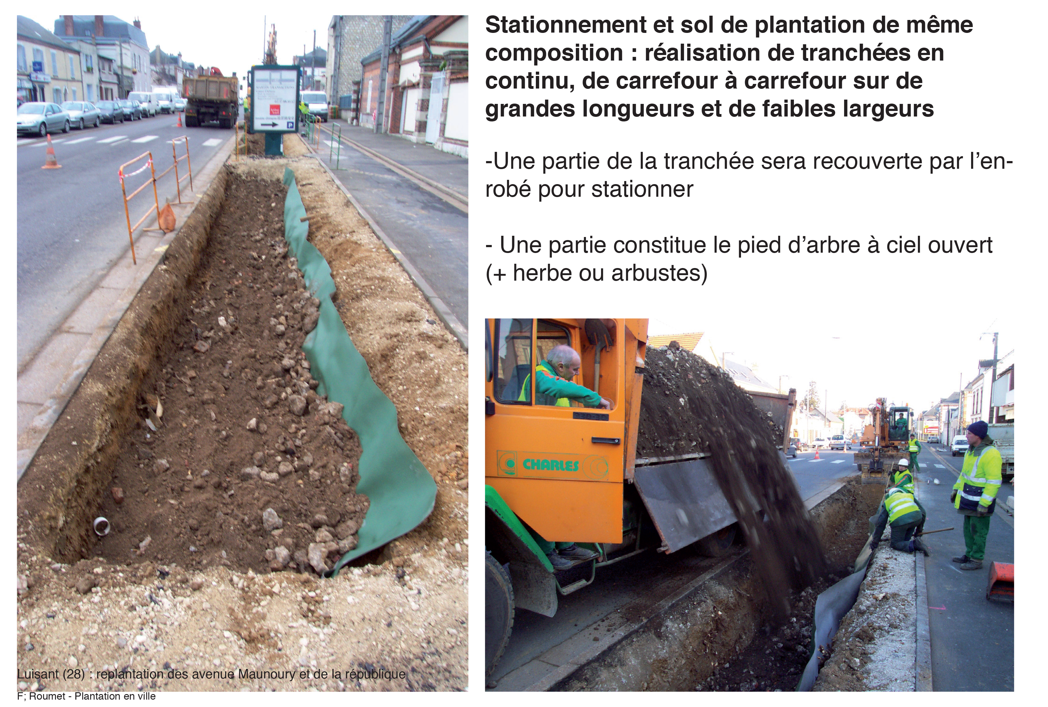 Projection planter en ville 20