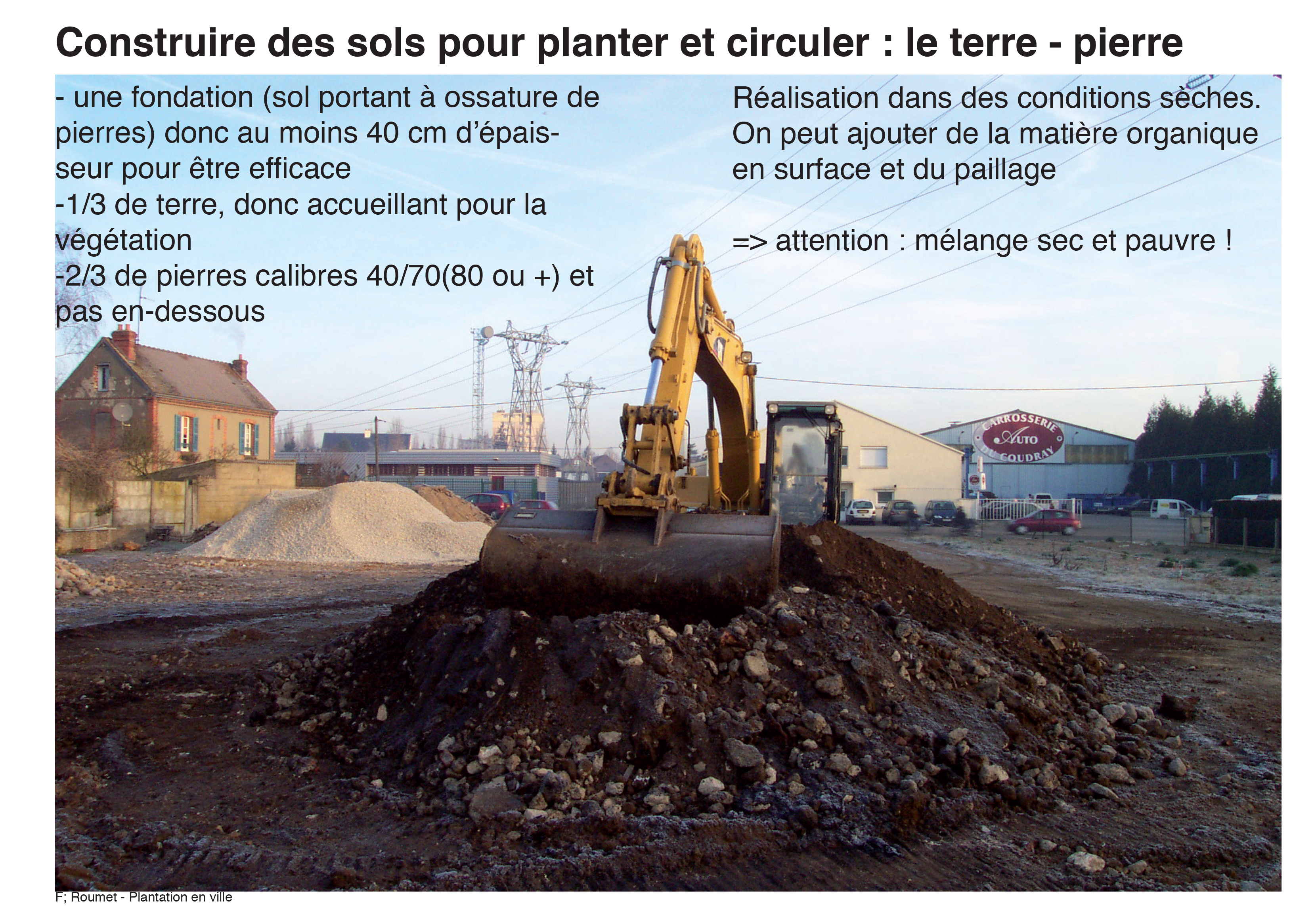 Projection planter en ville 19