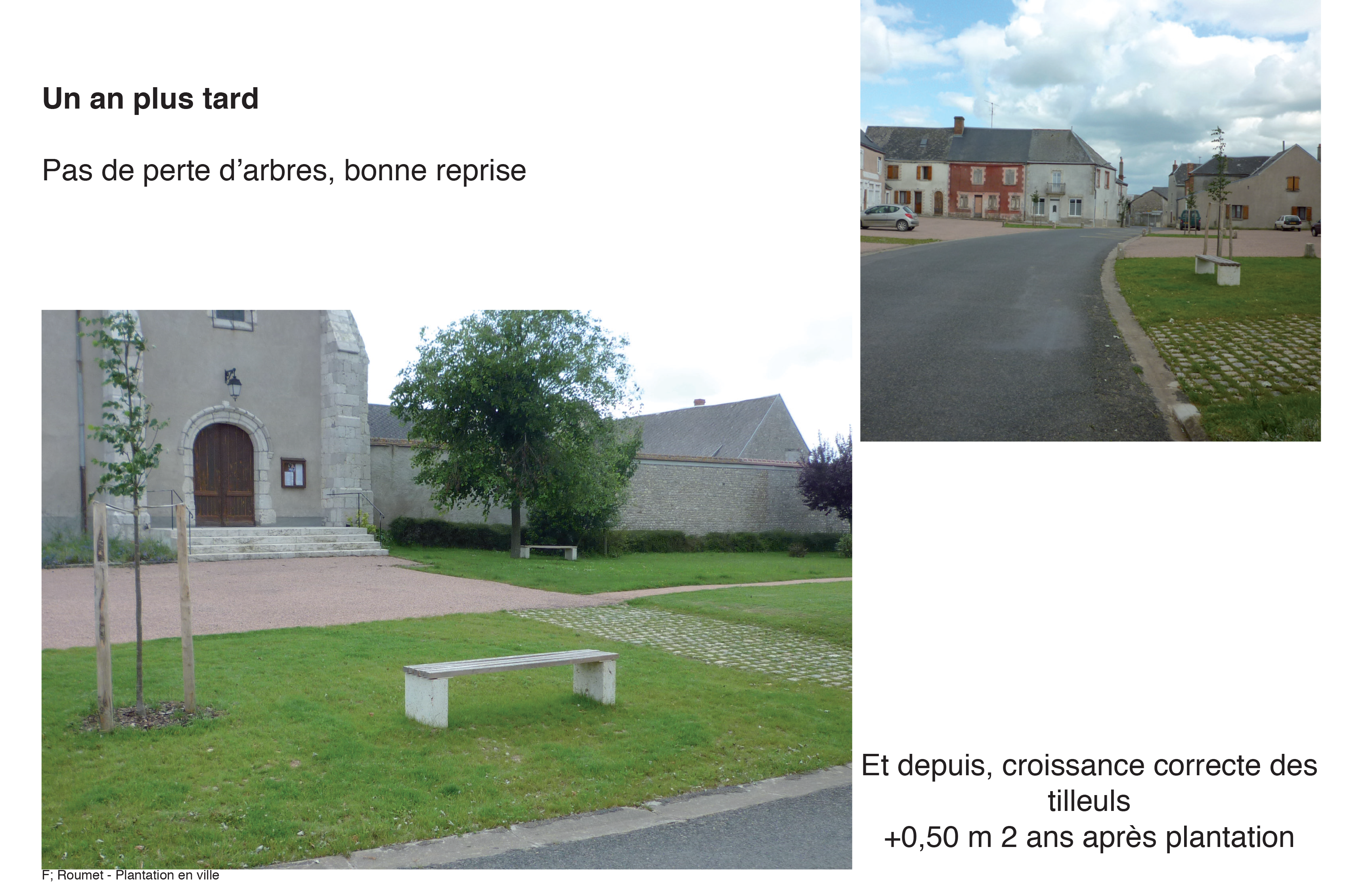 Projection planter en ville 18