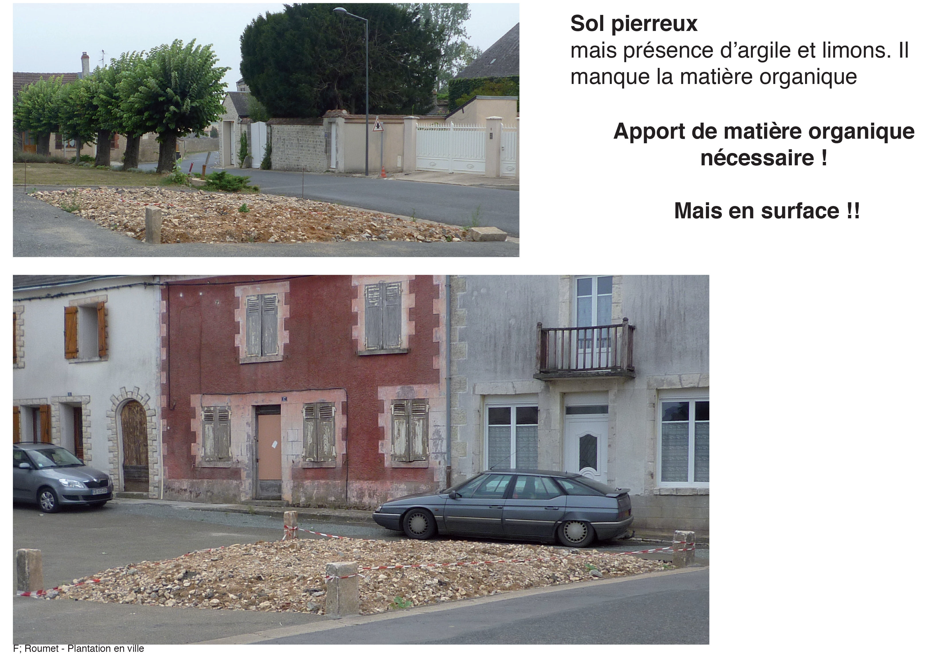 Projection planter en ville 15