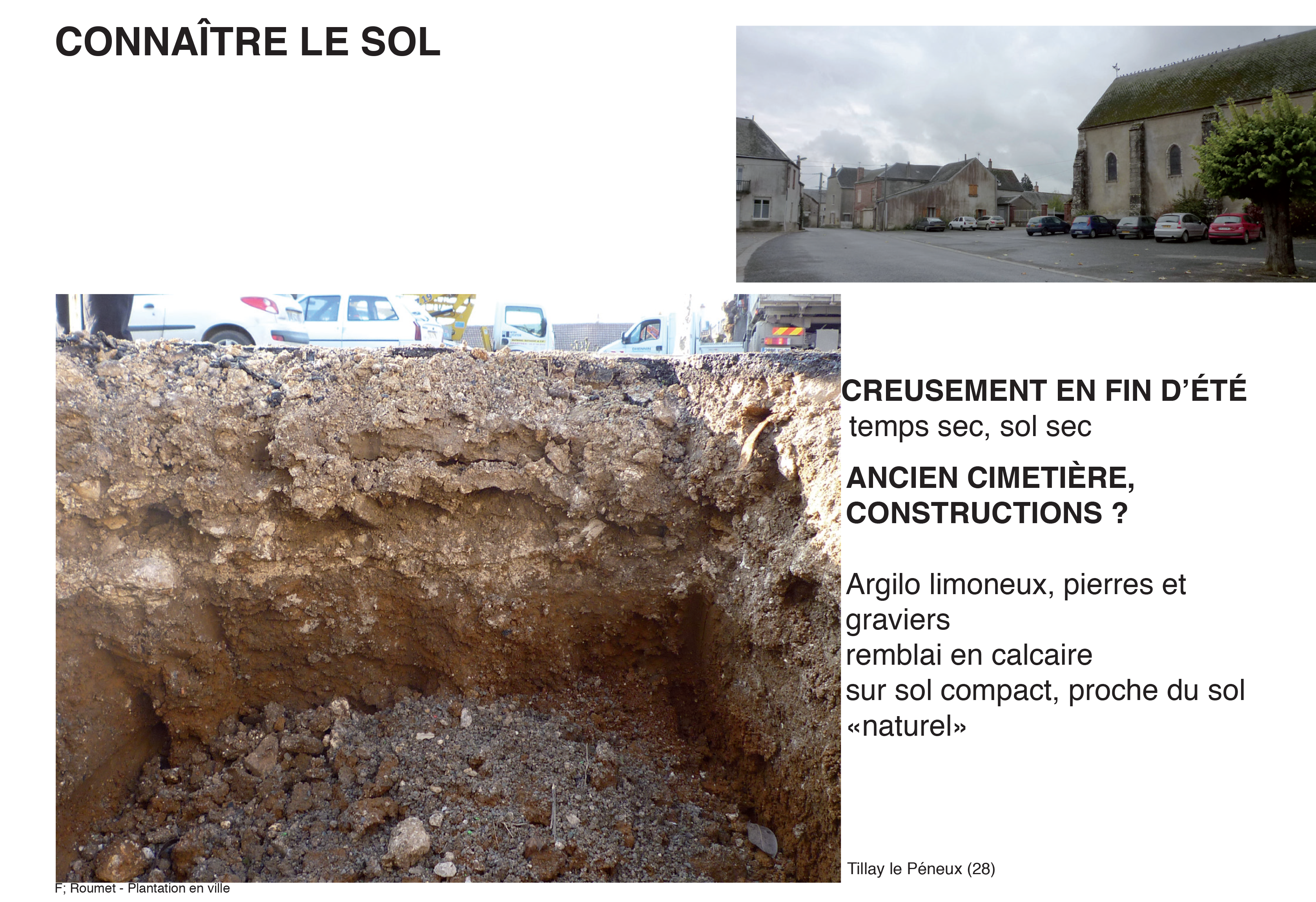 Projection planter en ville 14
