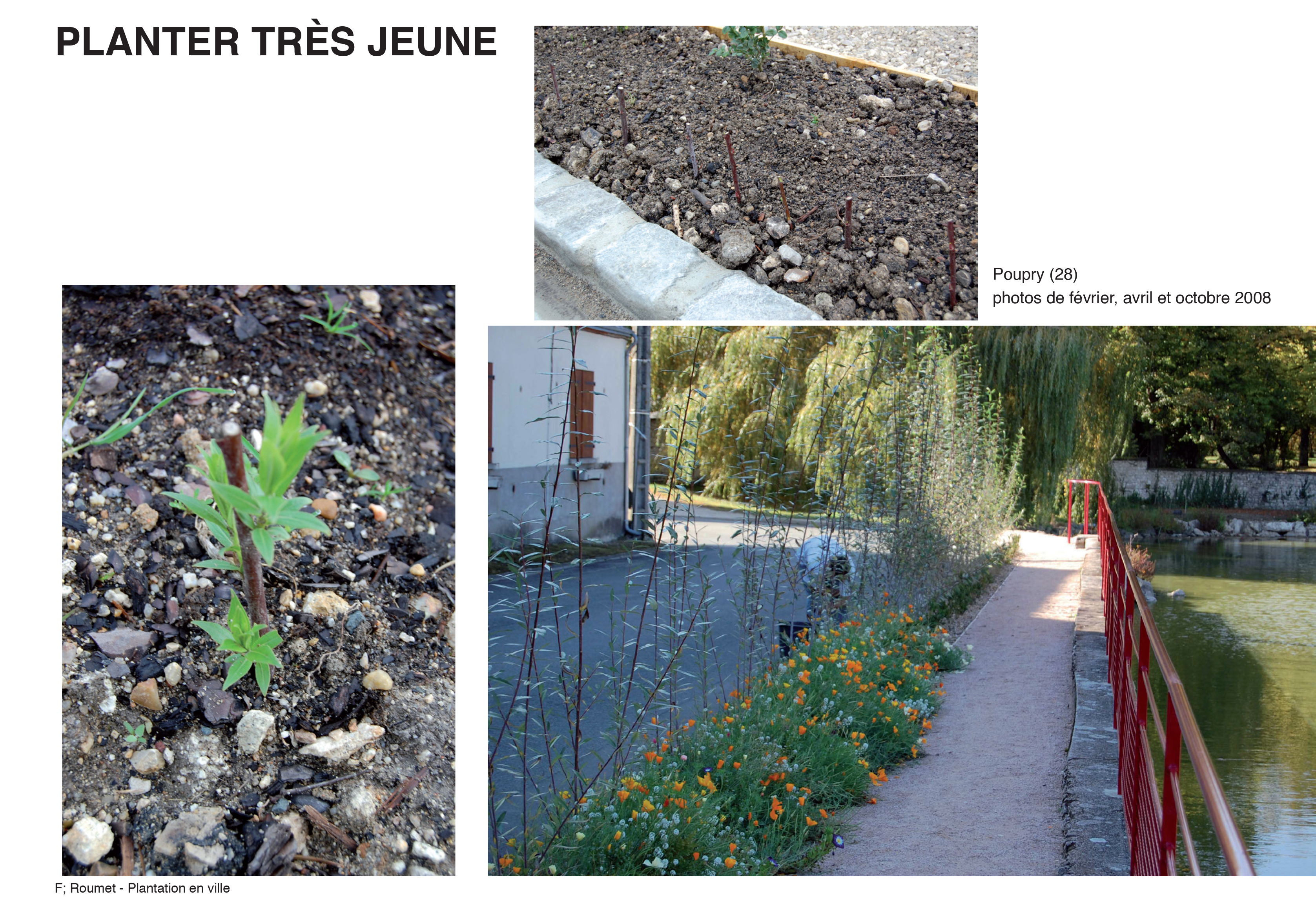 Projection planter en ville 13