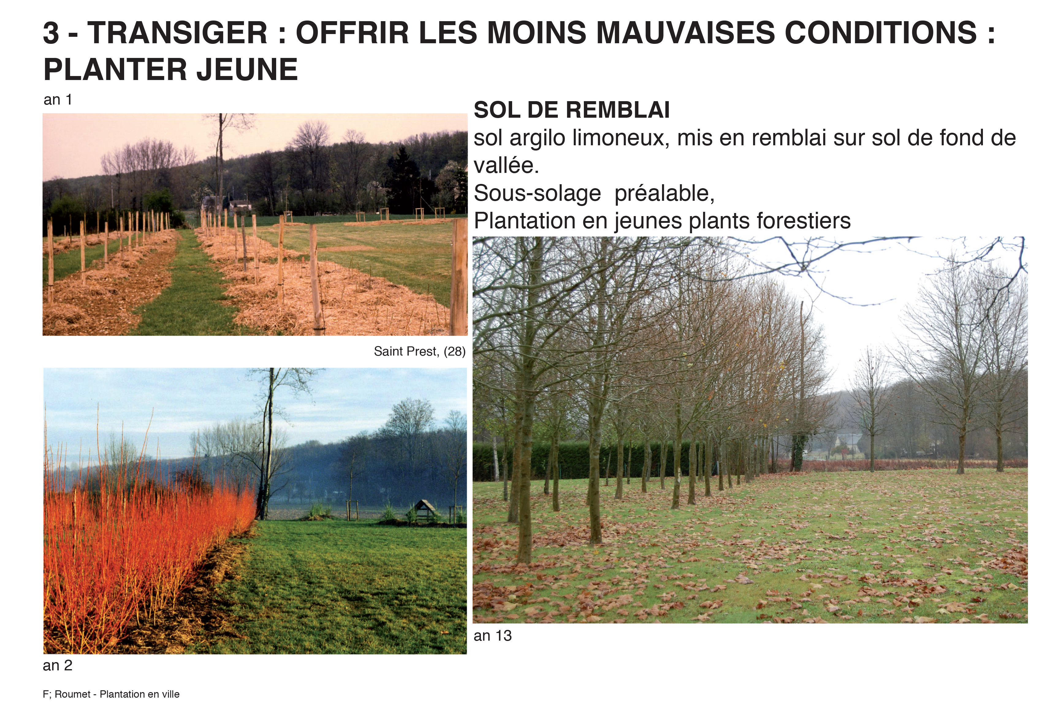 Projection planter en ville 12