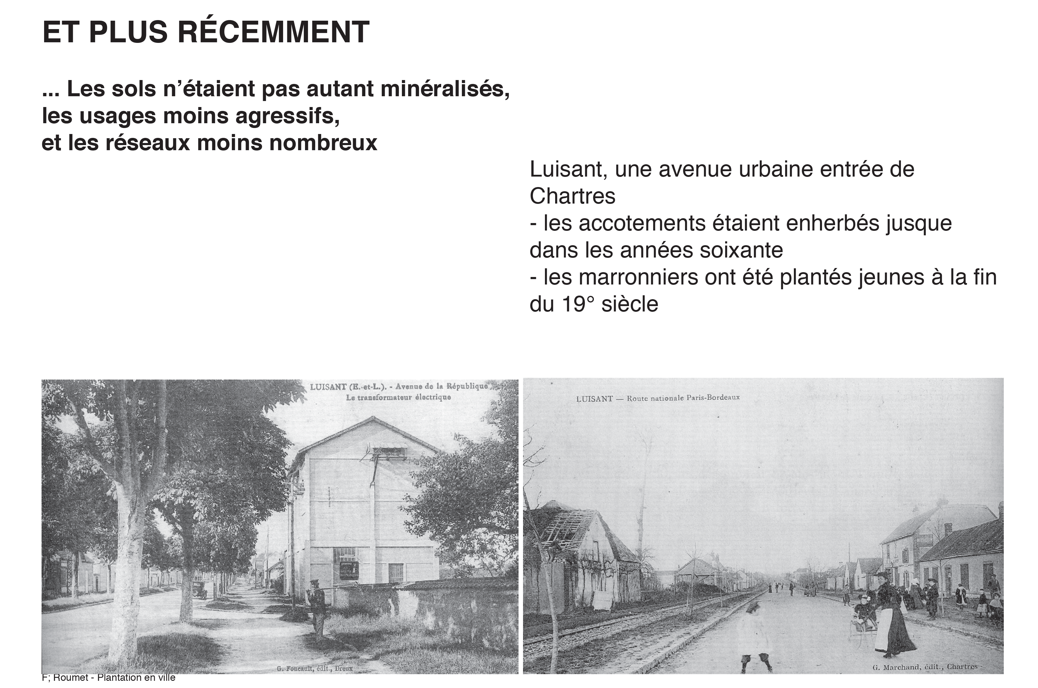 Projection planter en ville 11