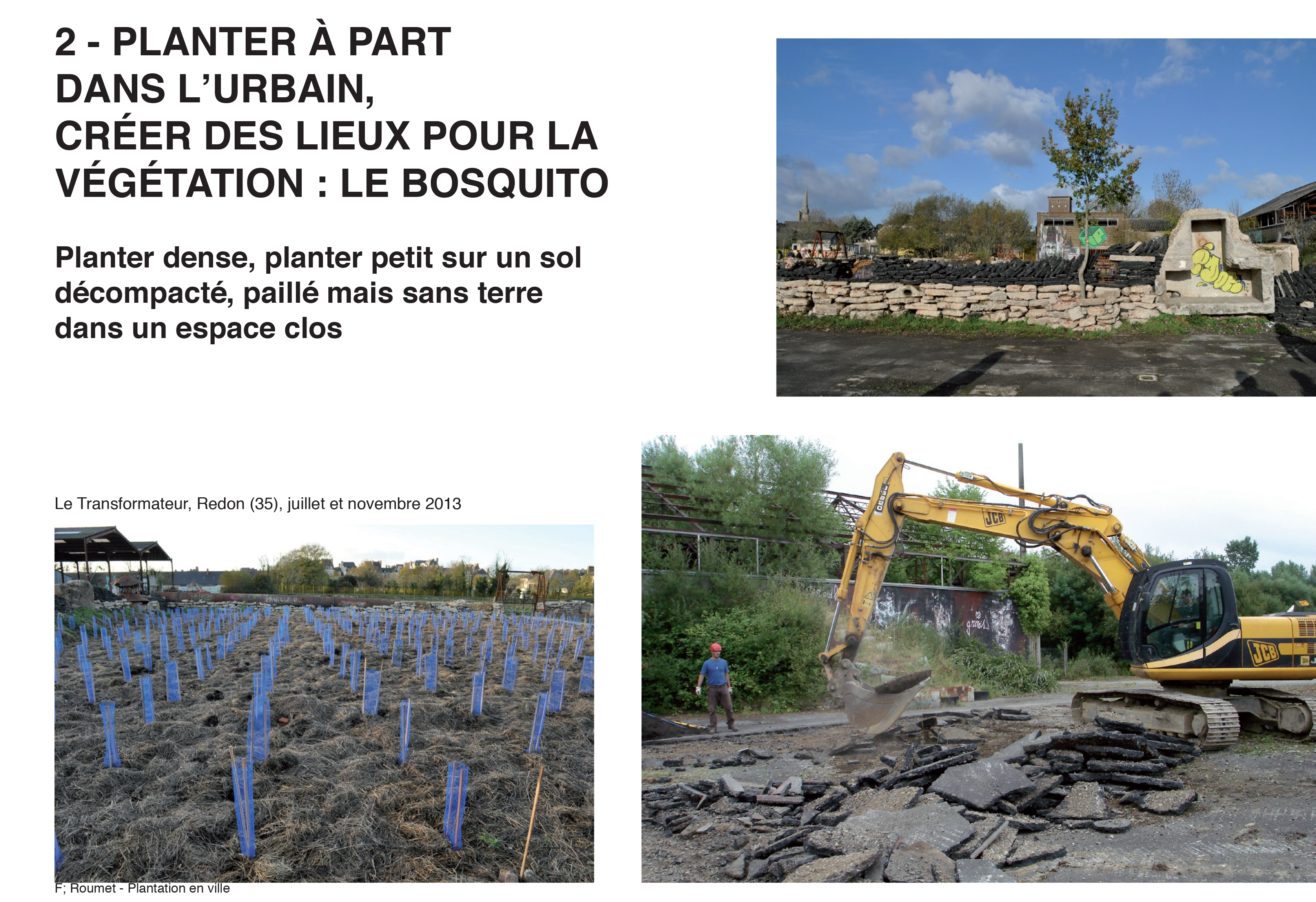 Projection planter en ville 8