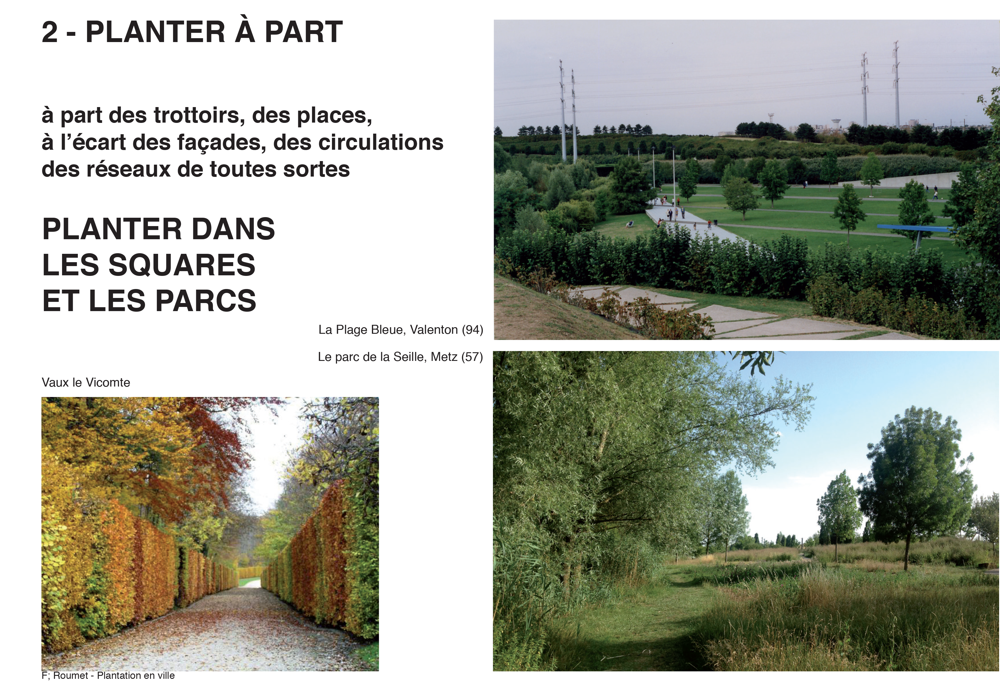 Projection planter en ville 7