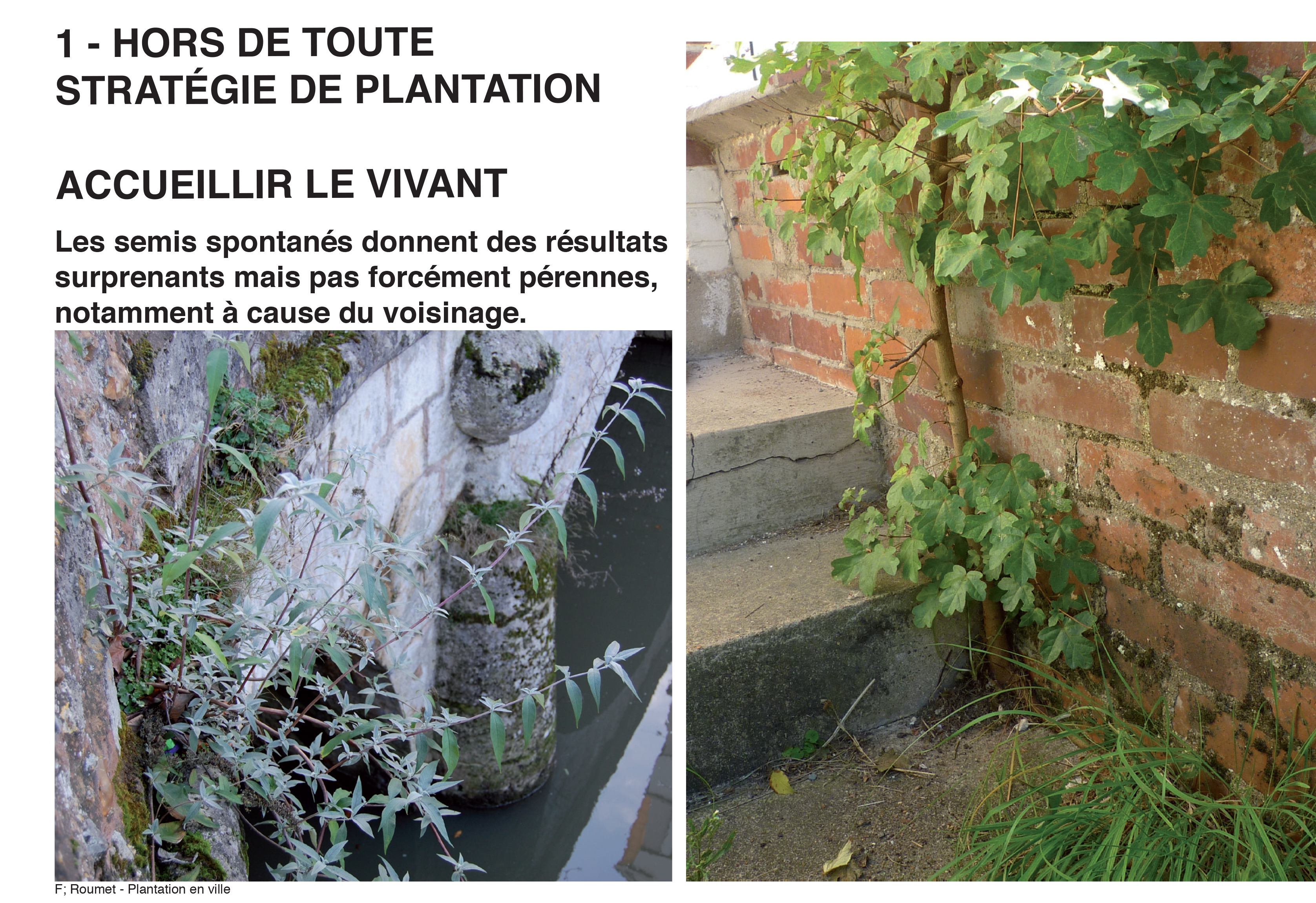 Projection planter en ville 5