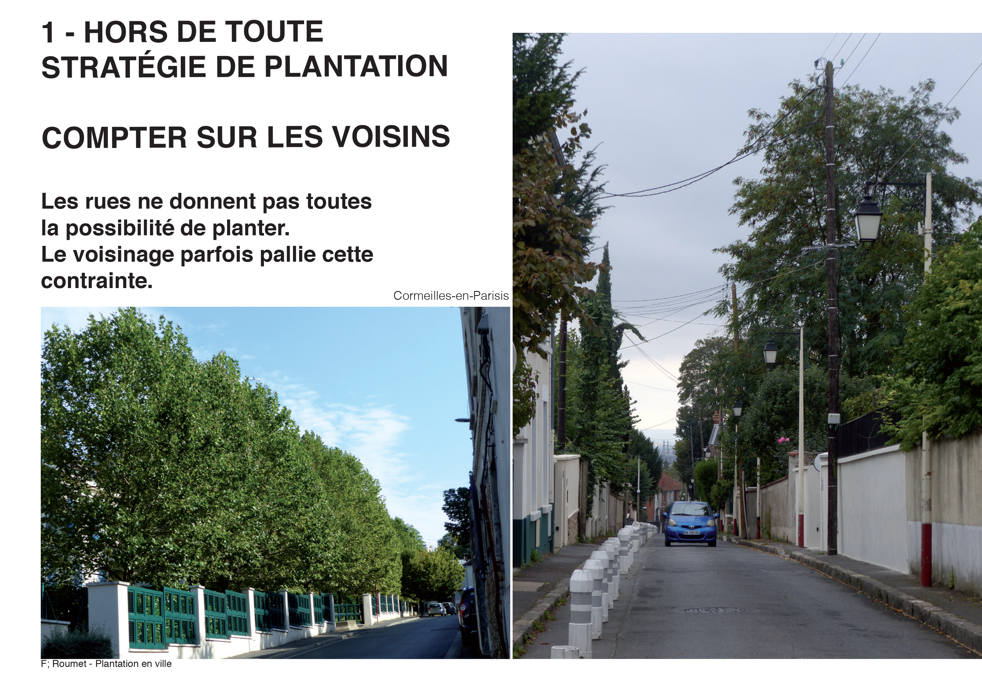 Projection planter en ville 4