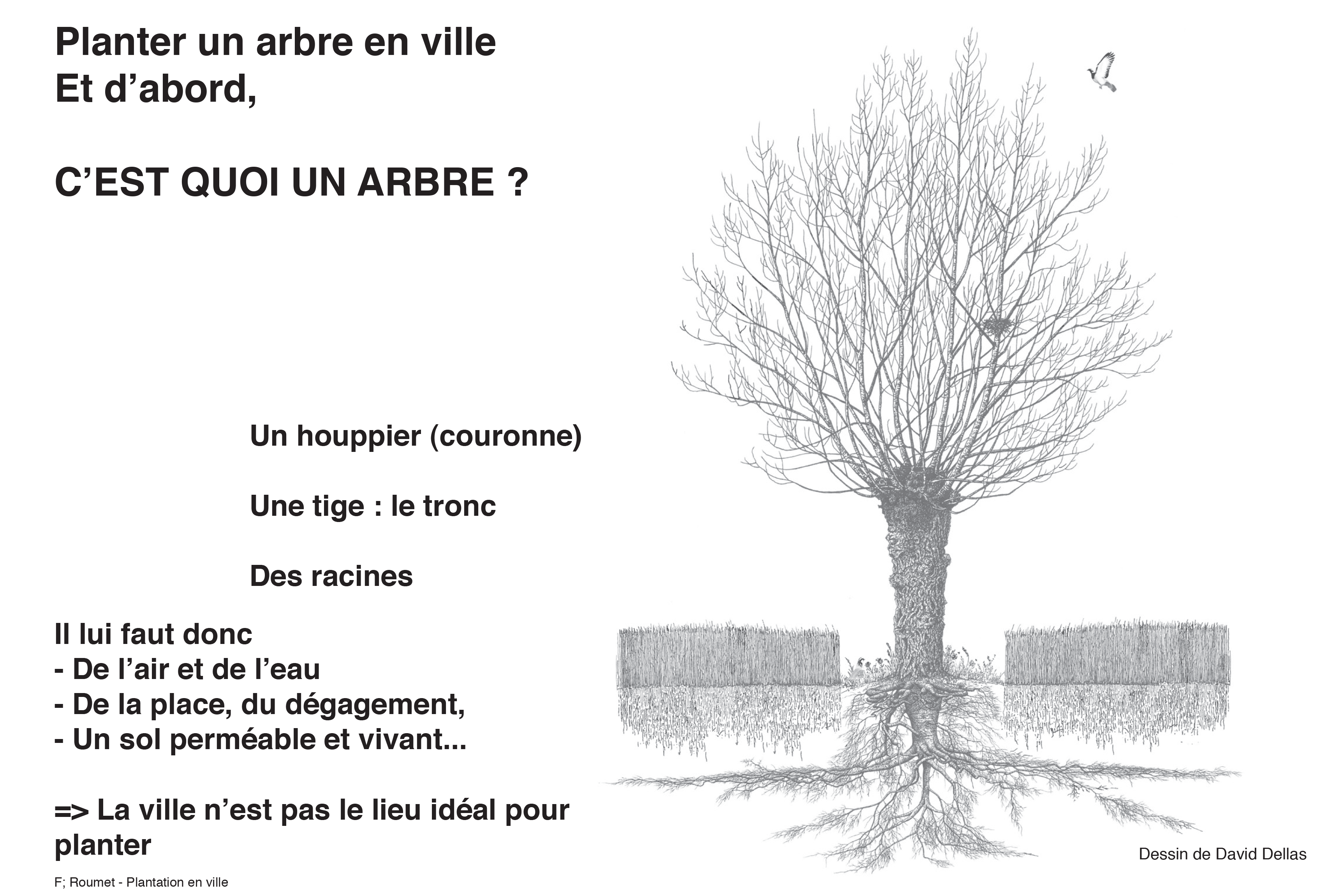 Projection planter en ville 2