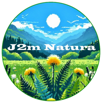 Logo J2m Natura (paysage de montagne avec des plantes)