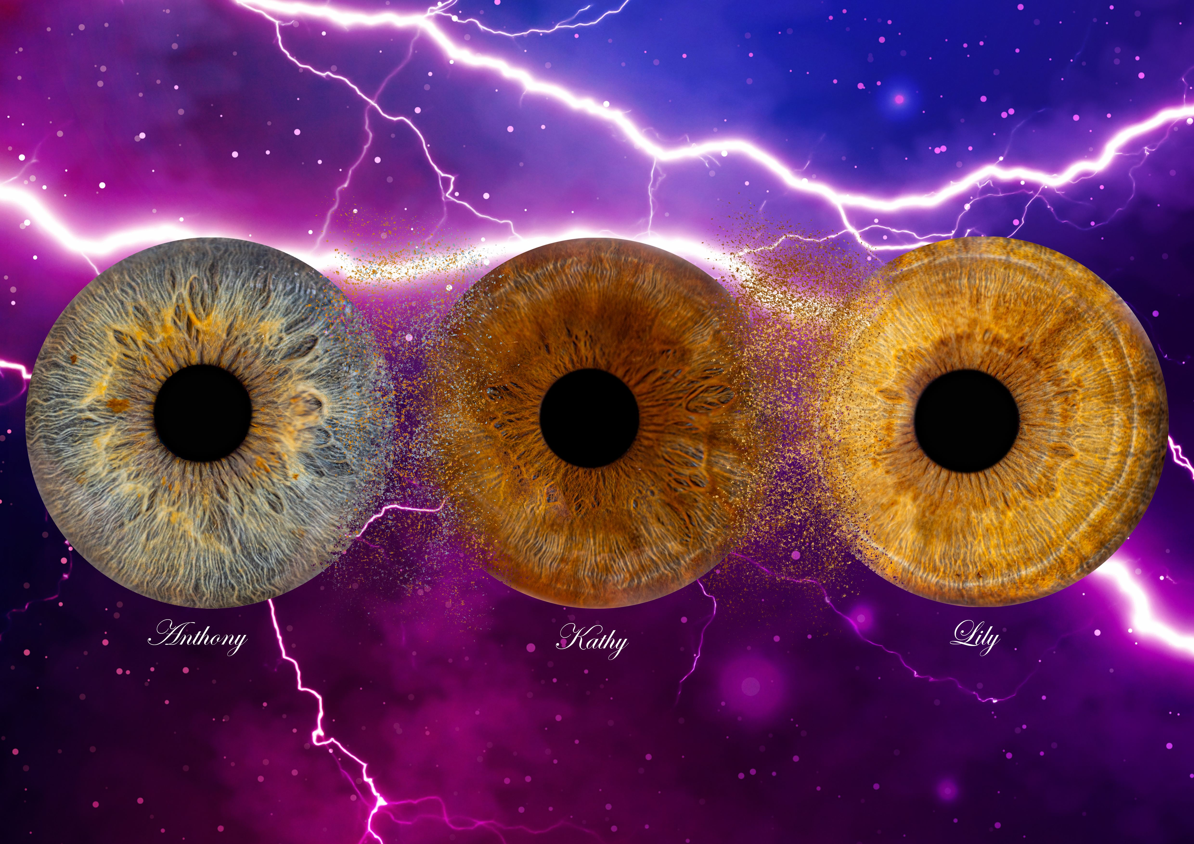 Iris mortini anthony violet