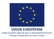 Union-Europeenne-1-