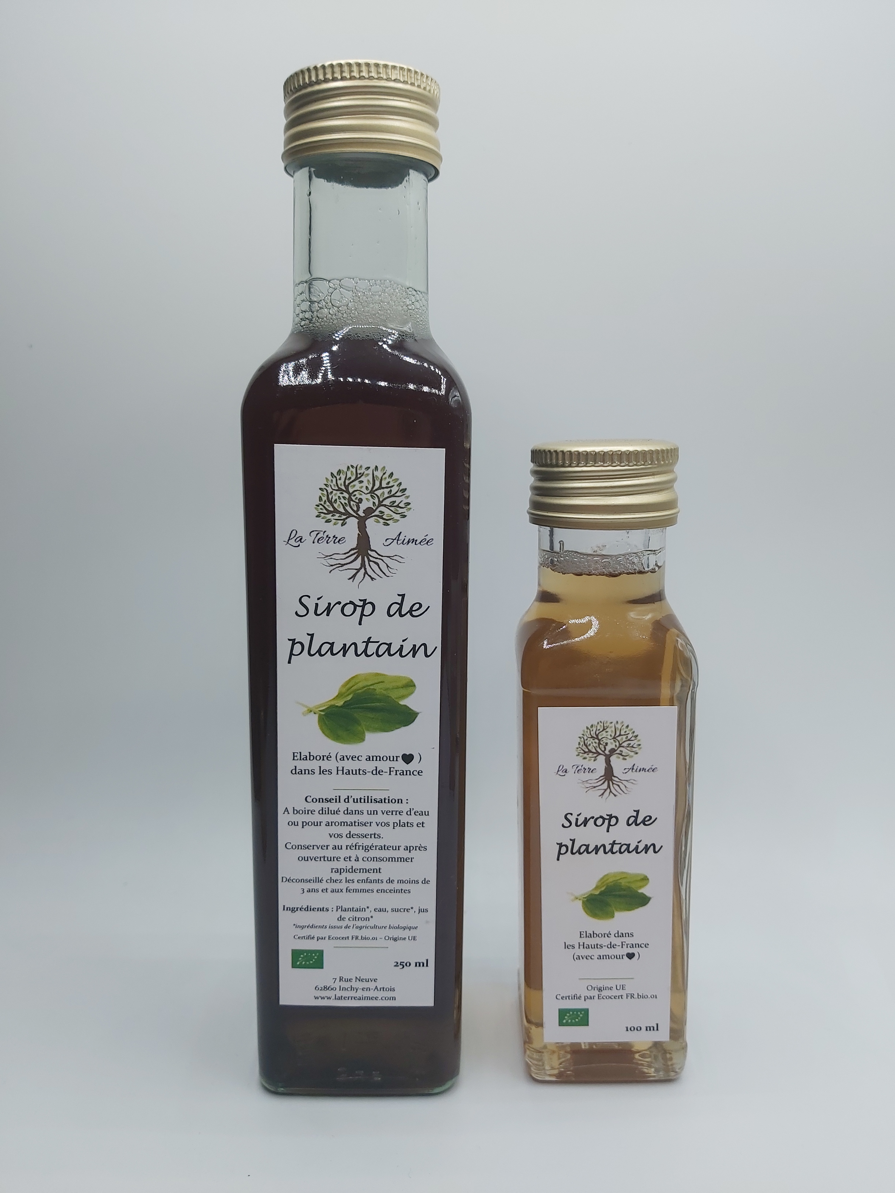 Sirop-plantain