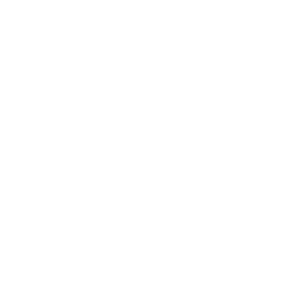 Logo ffleague white no bg