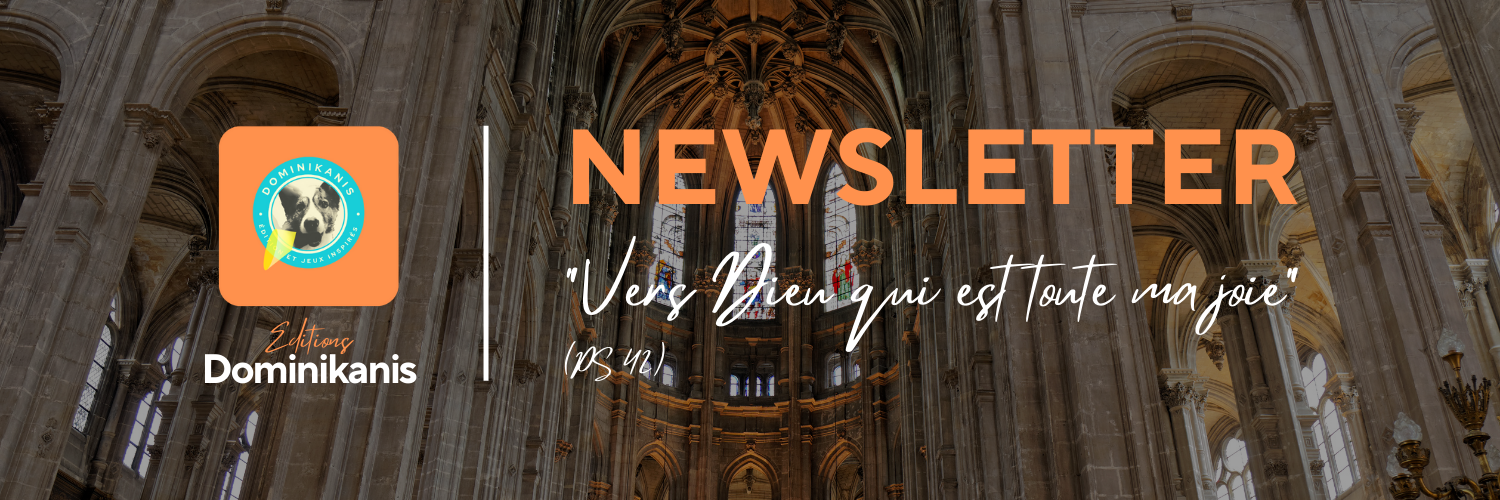 Banniere newsletter dominikanis