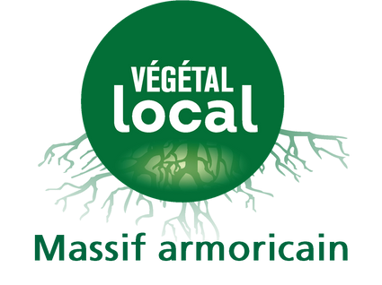 Logo MassifArmoricain