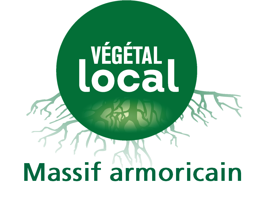 Logo MassifArmoricain