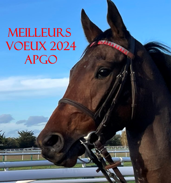 MEILLEURS VOEUX POUR L'ANNÉE 2024