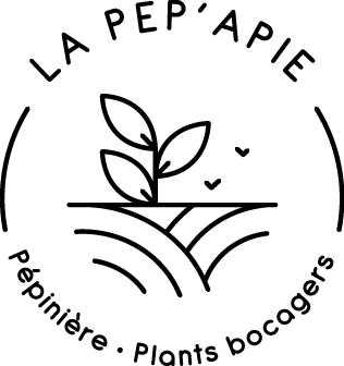 Logo-lapepapie-01