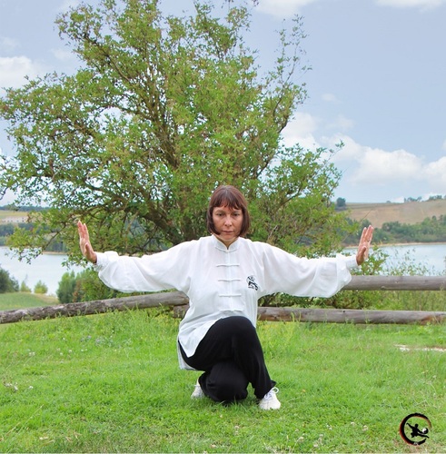 Qi gong bourgoin art energetique chinois seance qi gong artdumieuxetre ame adeline viviant