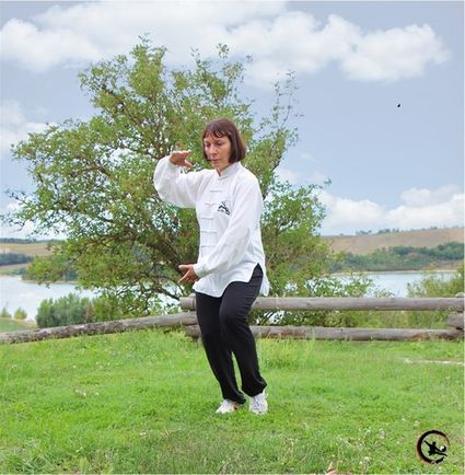 Tai chi bourgoin art martial interne seance tai chi artdumieuxetre ame adeline viviant