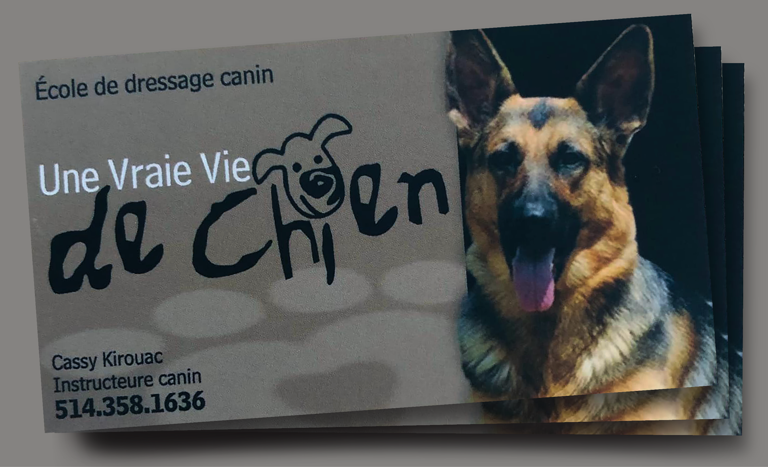  carte d affaires une vraie vie de chien 01