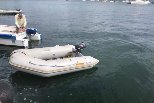 Adopter la propulsion électrique pour une annexe ?